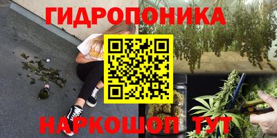наркотики Берёзовский