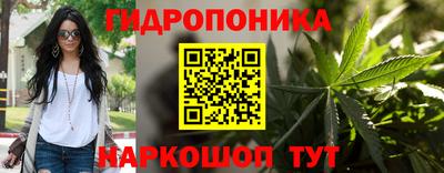 a pvp Бийск